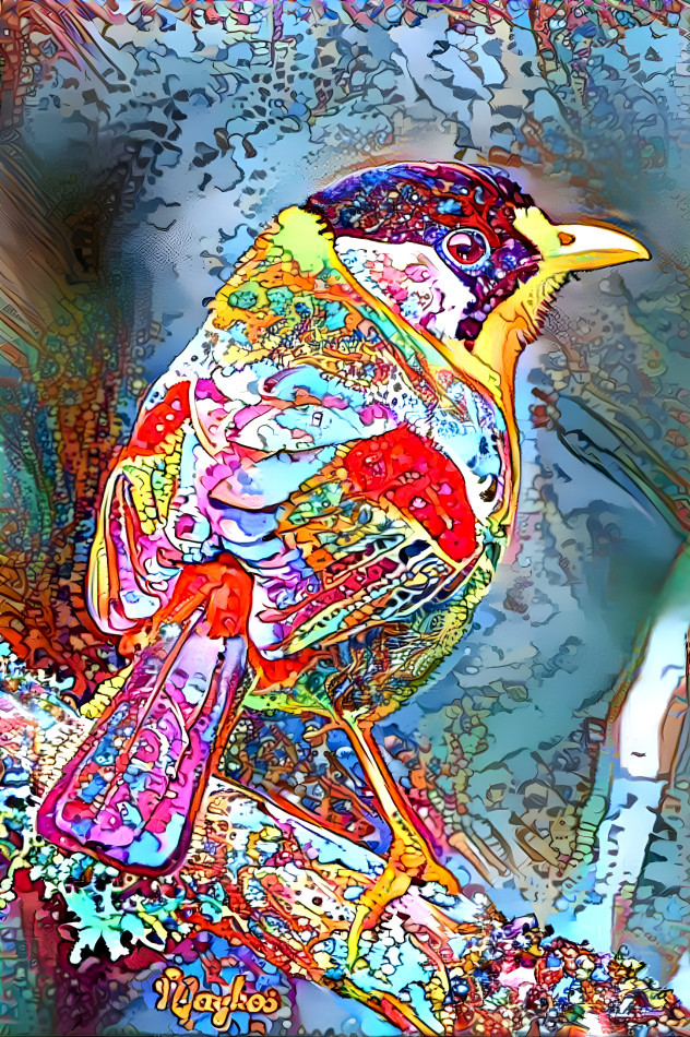 bird