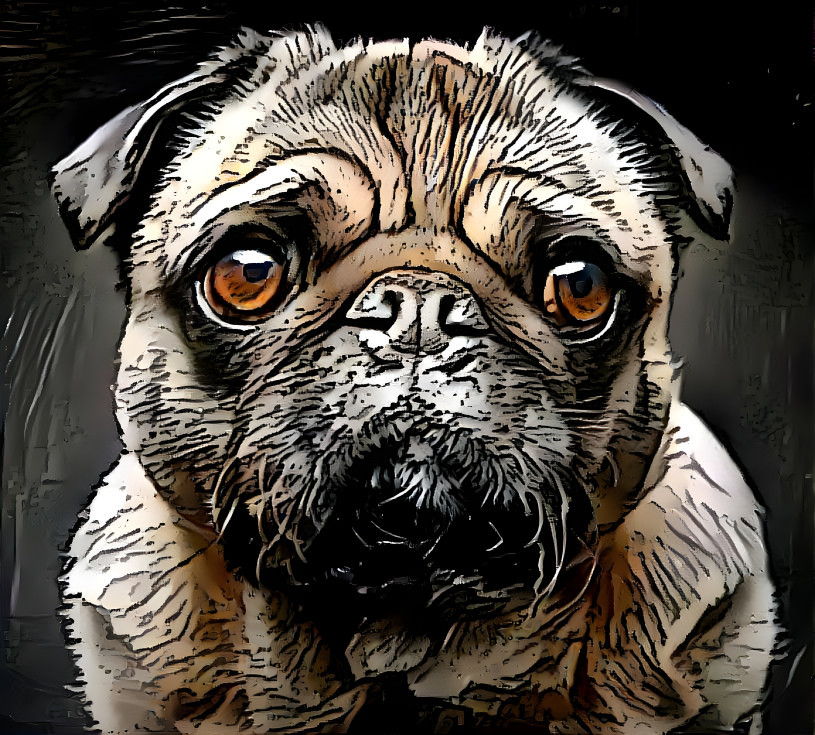 pugmix