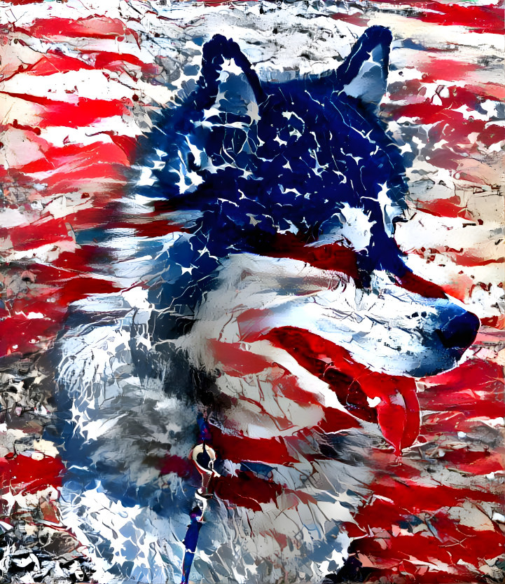 Red,White,Blue Dog2