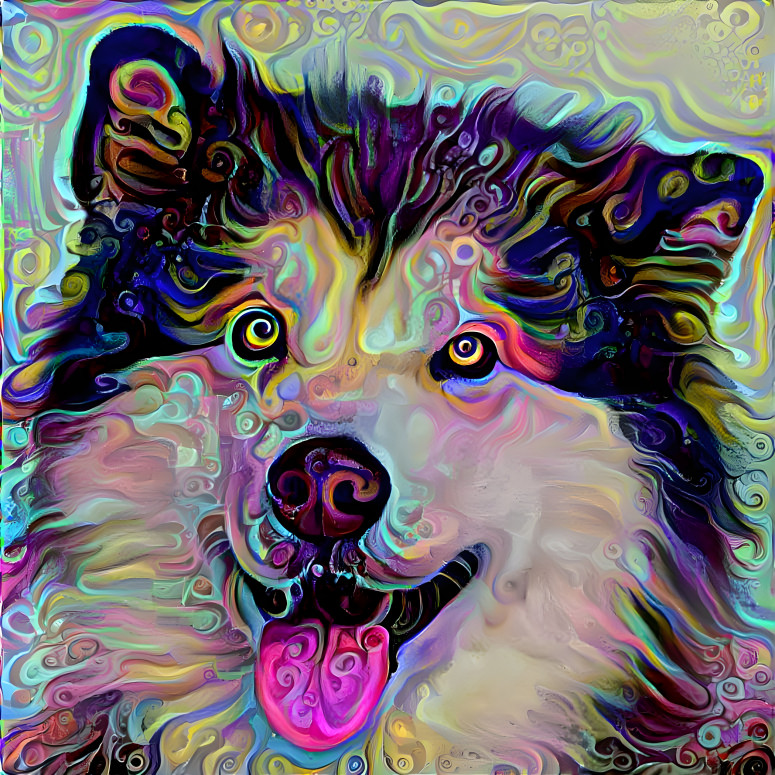 malamute31