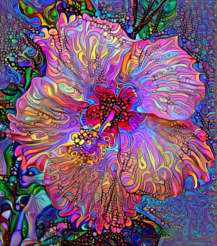 Hibiscus 2