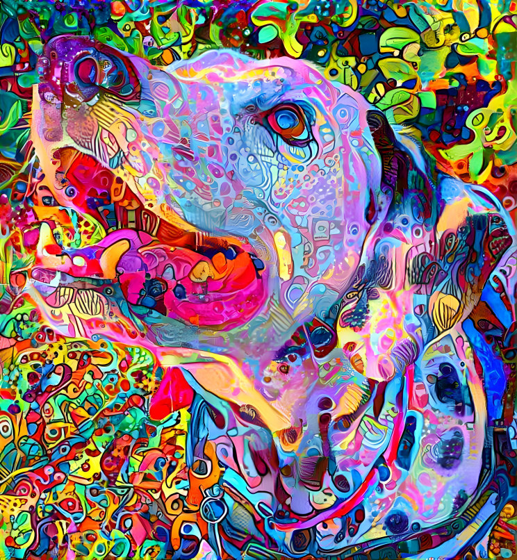 dalmatian3