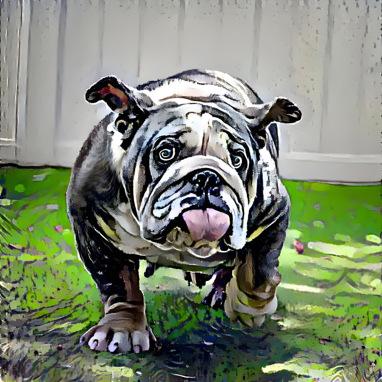 bulldog4