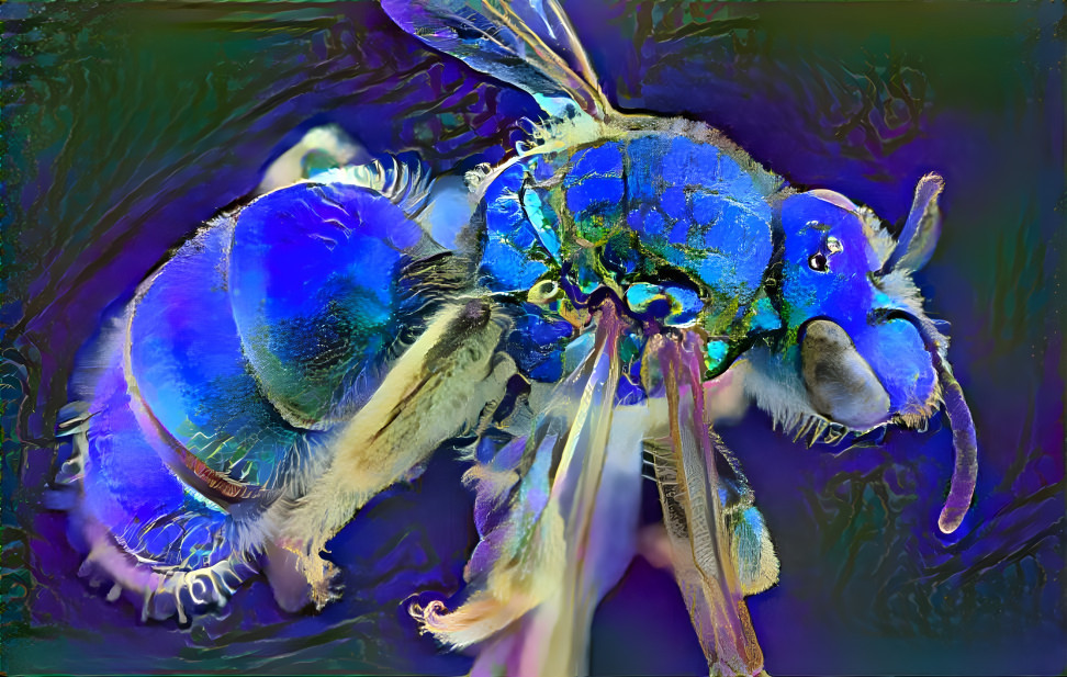 blue Bee