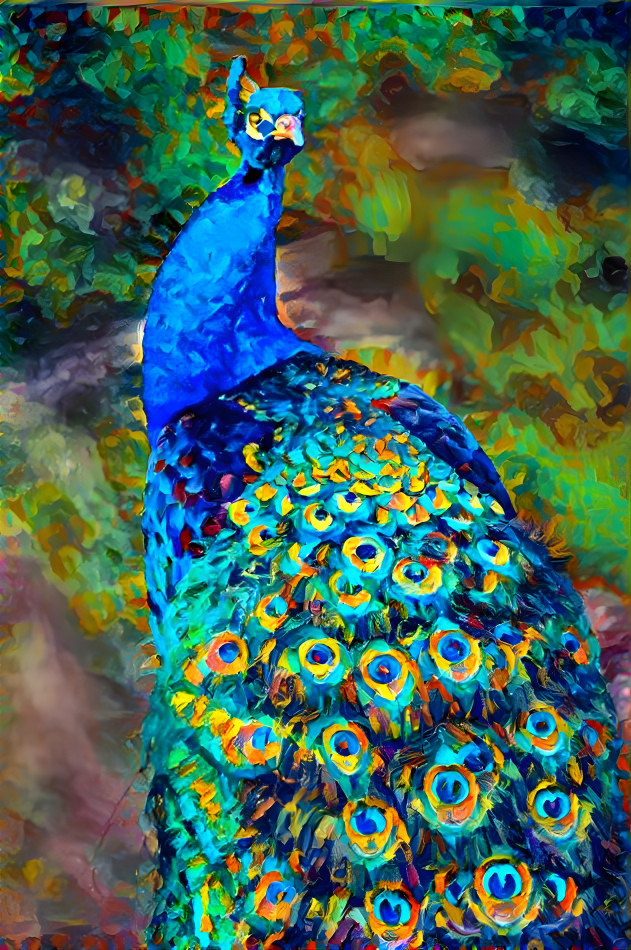 Peacock1