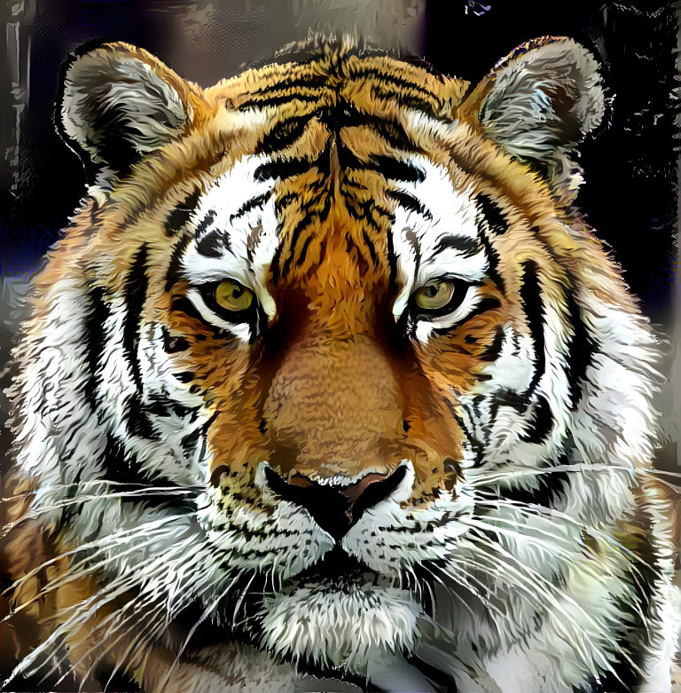 tiger2