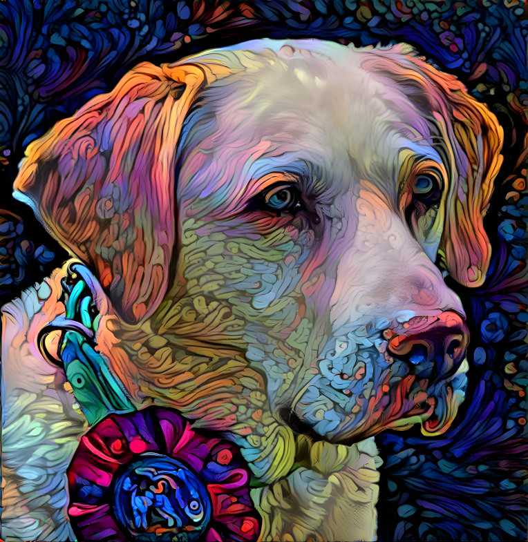 yellowlab1