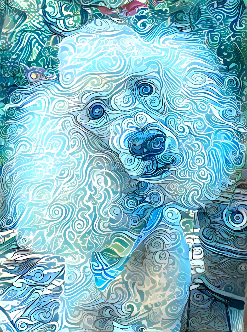 poodlemixstan2