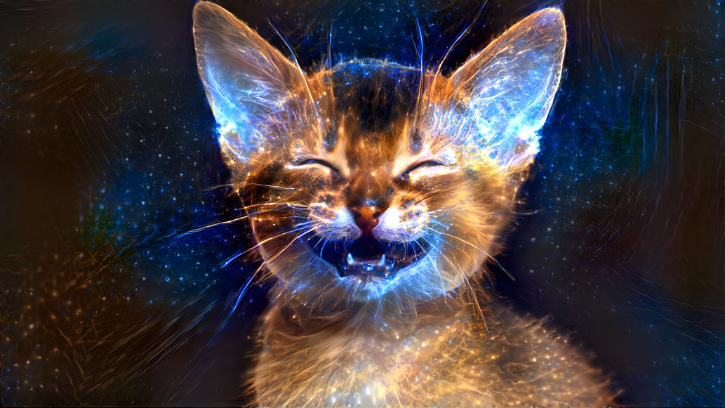 Space Cat