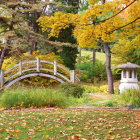 Wedding couple embraces on dock in autumn forest landscape