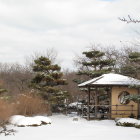 Japanese Pagodas in Snowy Landscape with Misty Mountains