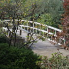 Tranquil riverside scene with colorful trees and stone path