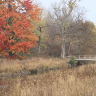 Stone bridge over stream in misty autumn landscape