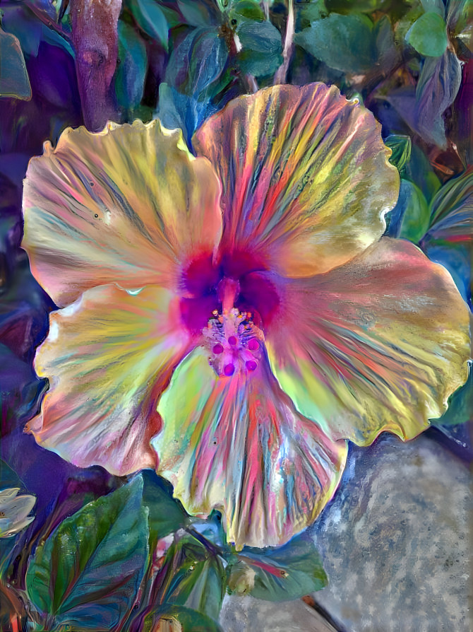 Hibiscus