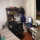 Functional Home Office Setup with Black Shelving, Computer Desk, Plants, Bed, and Wall Art