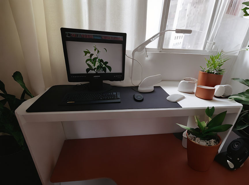 Minimalist Home Office Setup with Monitor, Keyboard, Mouse, Desk Lamp, Plants, and Speakers