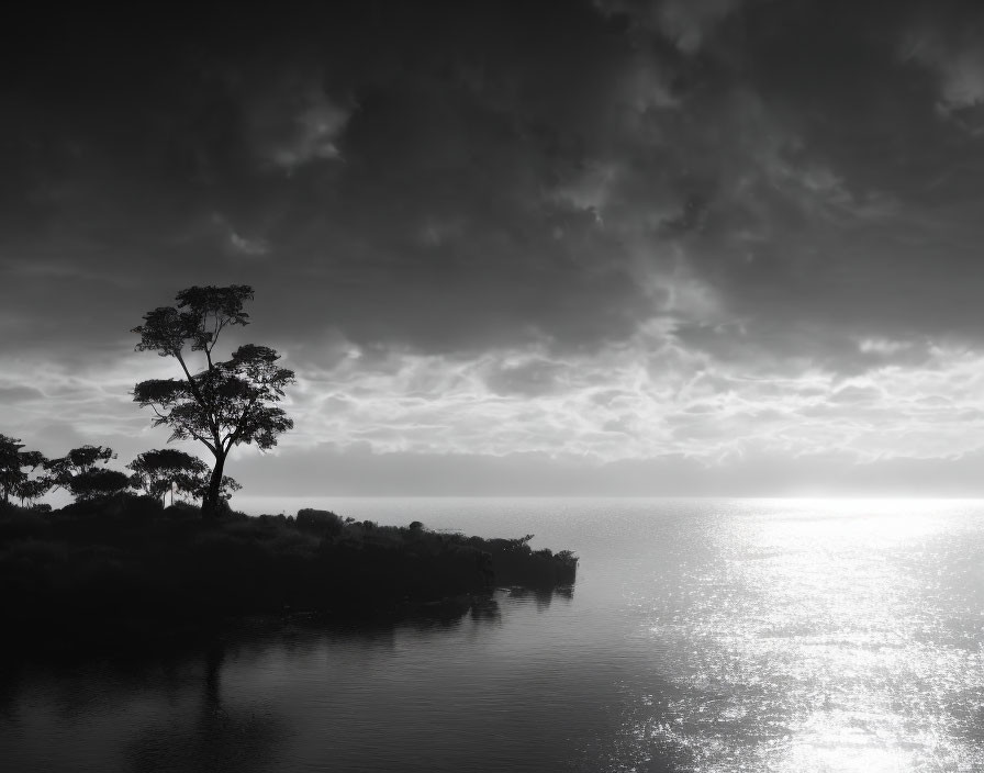 Monochrome image: solitary tree on lakeshore under cloudy sky