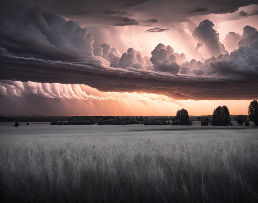 Dramatic landscape with vast field and stunning sky