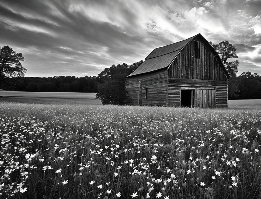 Rustic wooden barn in wildflower field under dramatic sky