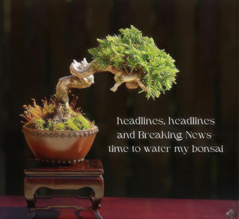 Bonsai