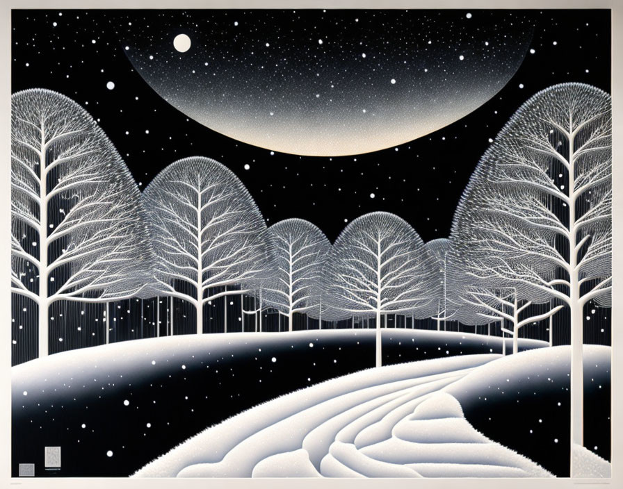 Serene snowy landscape with tall trees under star-filled sky