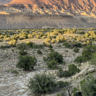 Lush Green Forest with Red Rock Formations and Canyons