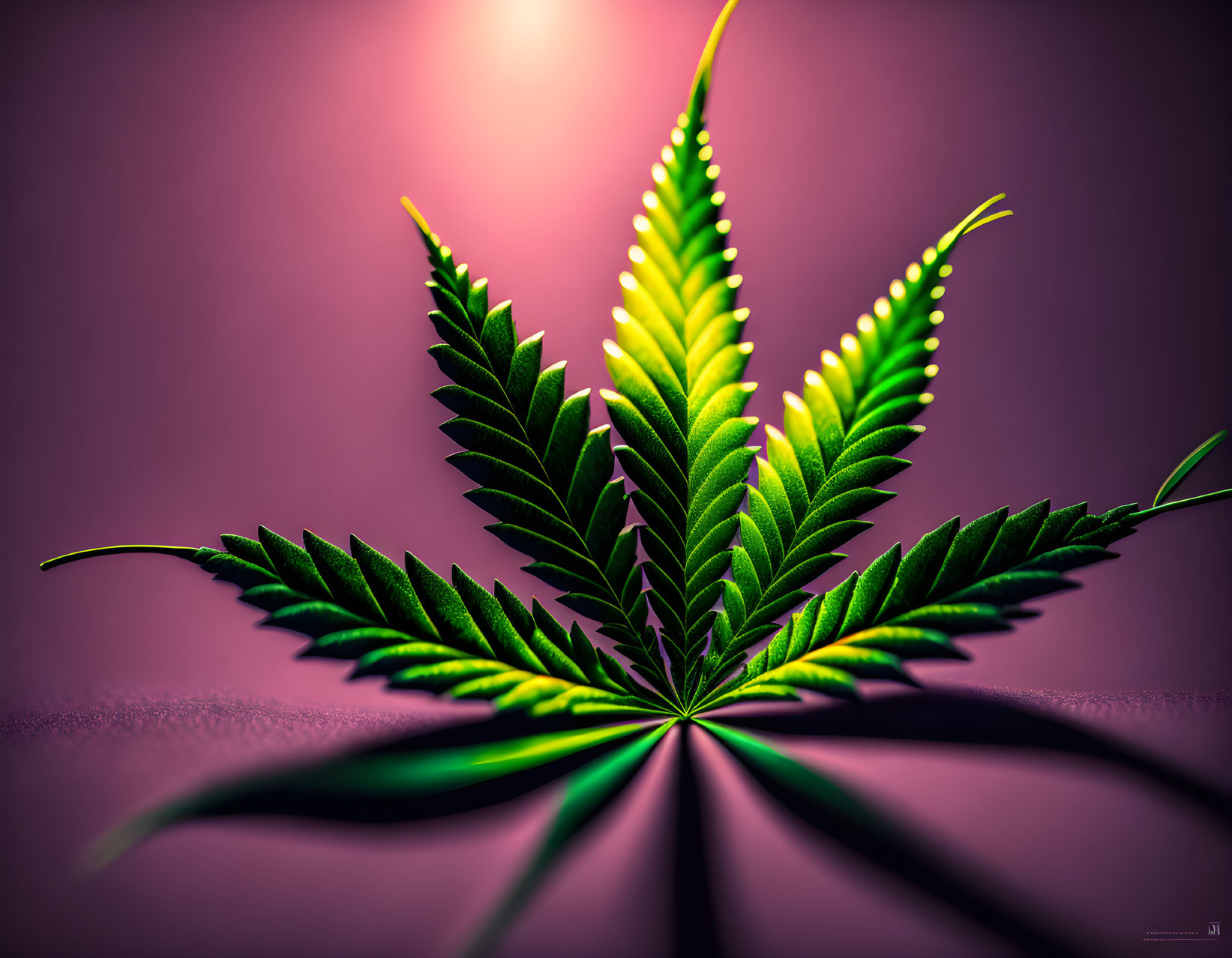 Colorful Gradient Marijuana Leaf on Pink Background