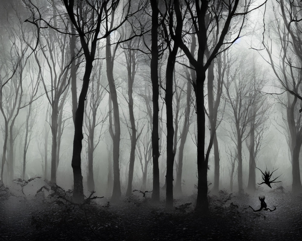 Foggy forest with eerie trees in dark ambiance