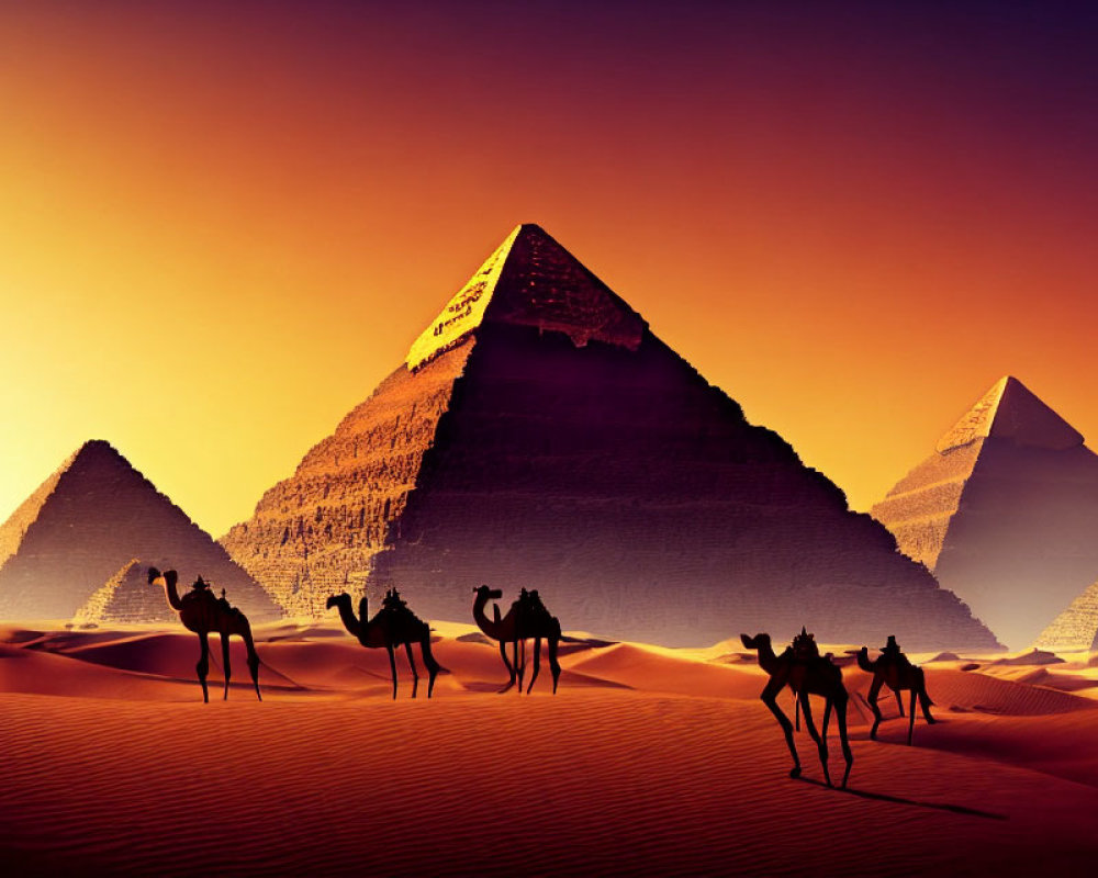 Camel caravan in front of Great Pyramids at sunset