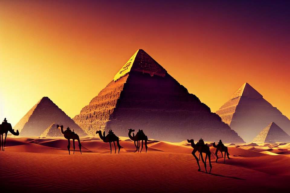 Camel caravan in front of Great Pyramids at sunset