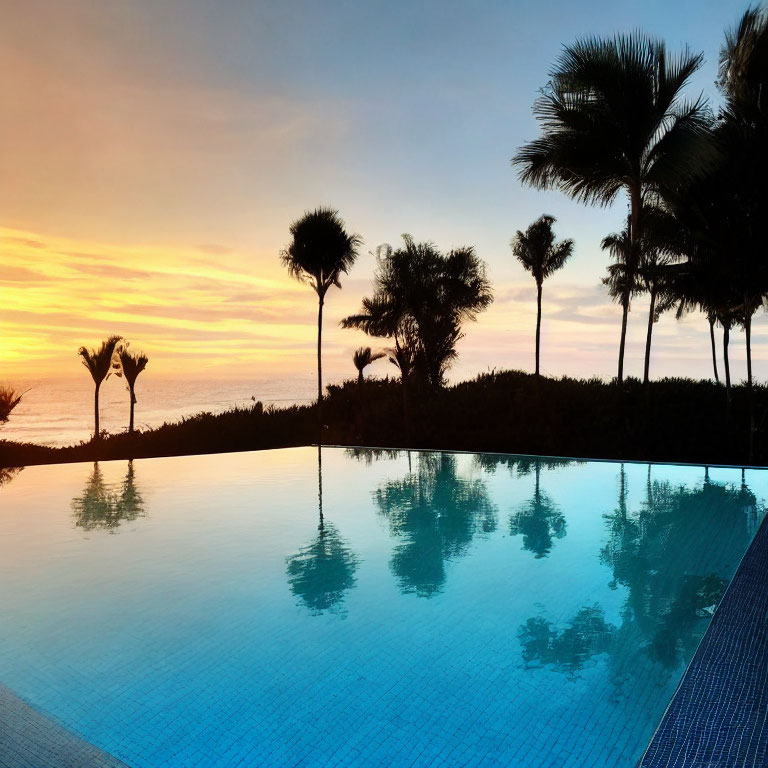 Tropical sunset: palm tree silhouettes, infinity pool, ocean view