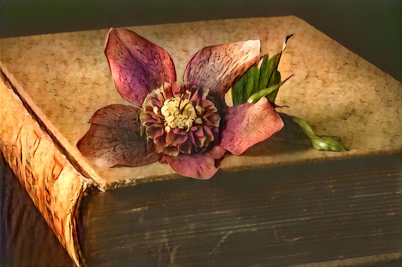 Antique Book and Flower