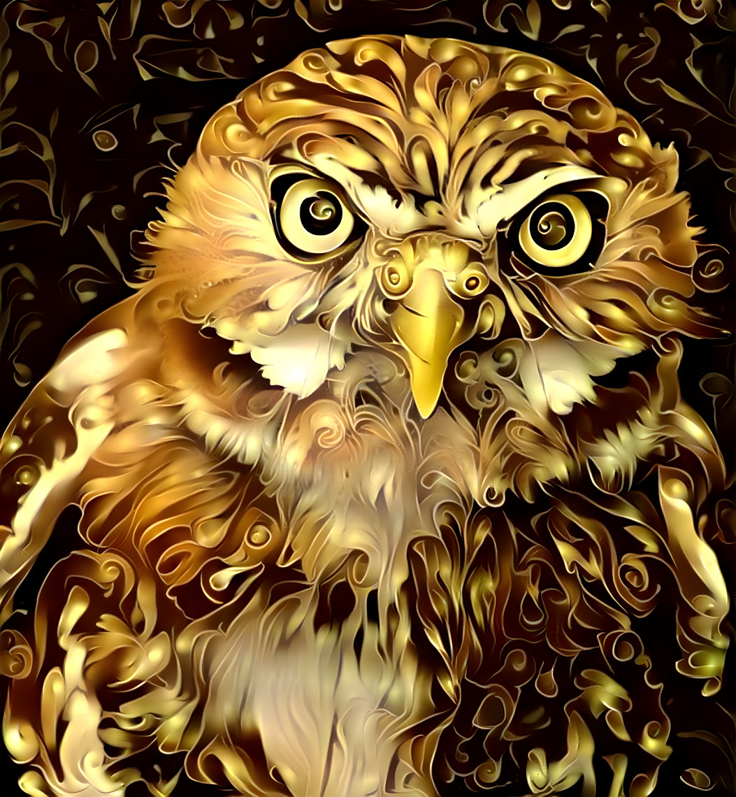 Golden Owl