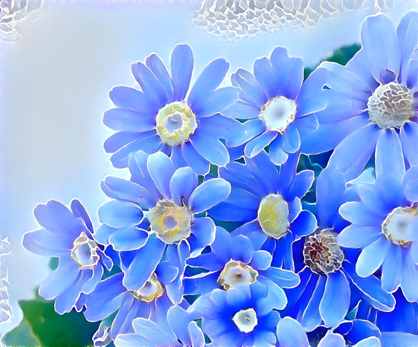 The Blue Flowers