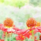 Vibrant watercolor flowers with dewdrops in soft green, yellow, and pink hues