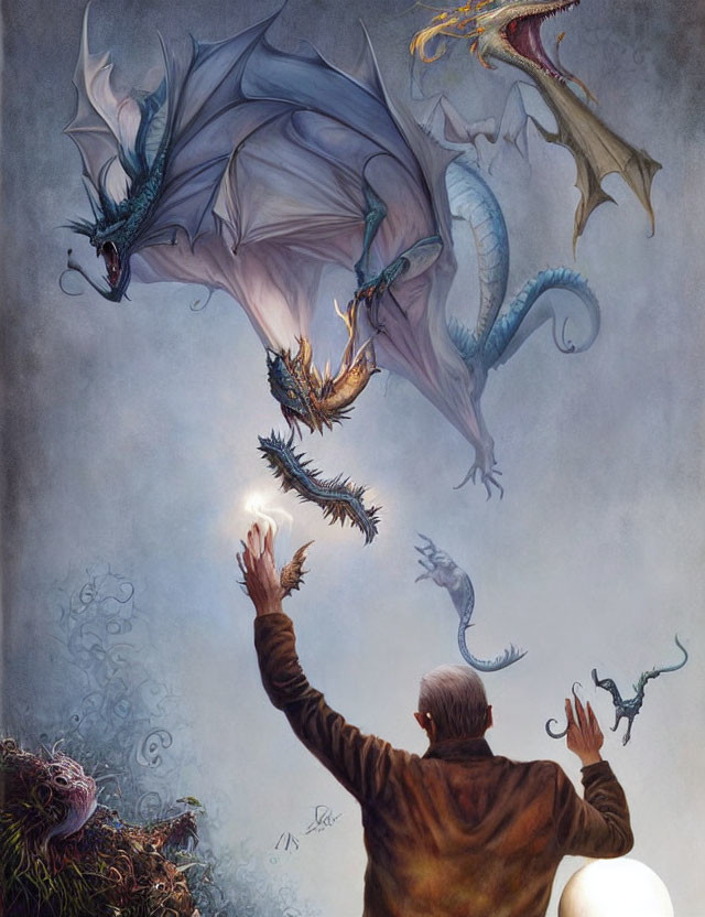 Person in Brown Cloak Interacts with Dragons in Mystical Setting