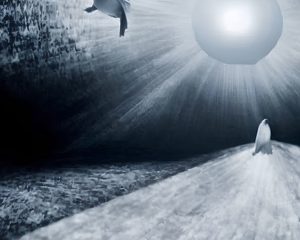 Monochrome surreal bird scene with glowing orb and textured ground