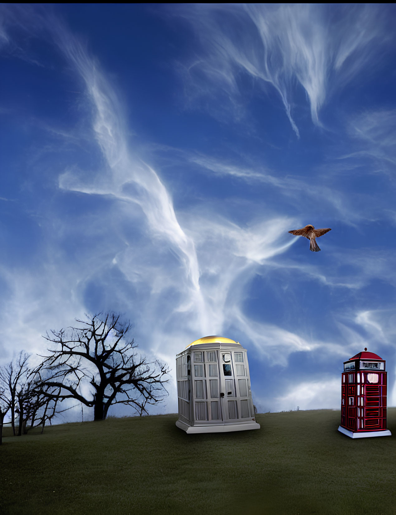 Surreal scene with phone booth, police box, bird, and trees on hill