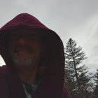 Bearded man in purple cloak with gold embroidery in misty forest.