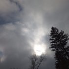 Regal figure in crown and robe faces white dragon in mystical setting