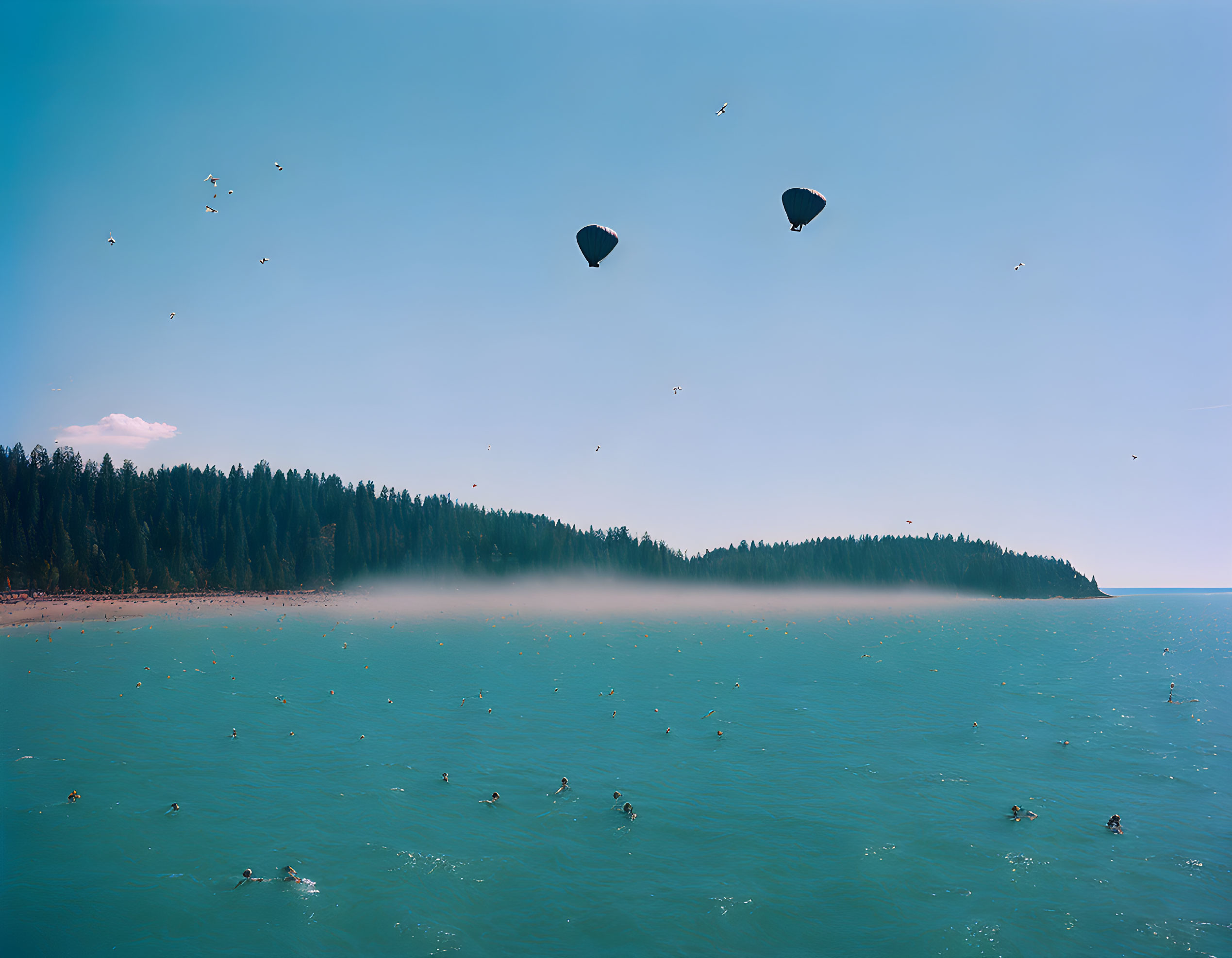 Parachutes above misty coastline with birds and surfers.