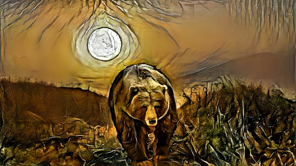 Bear in the sun