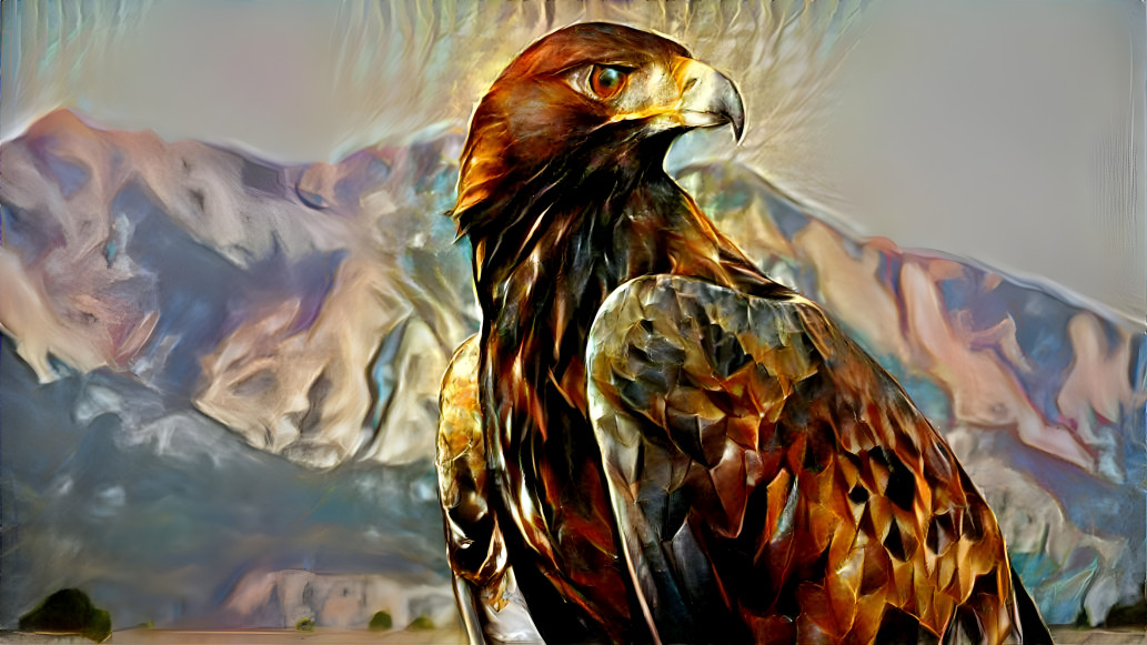 Copper Hawk