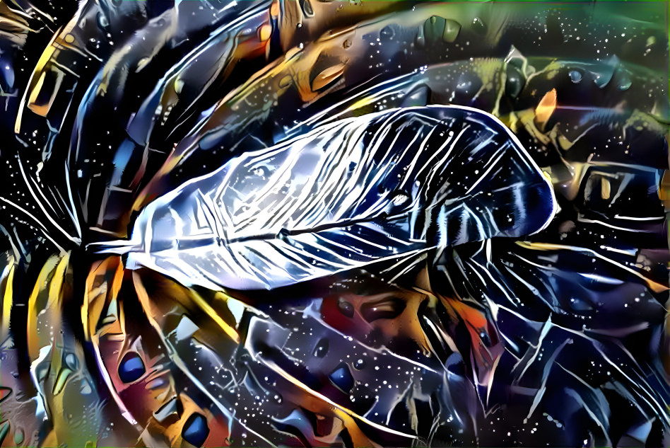 Feather