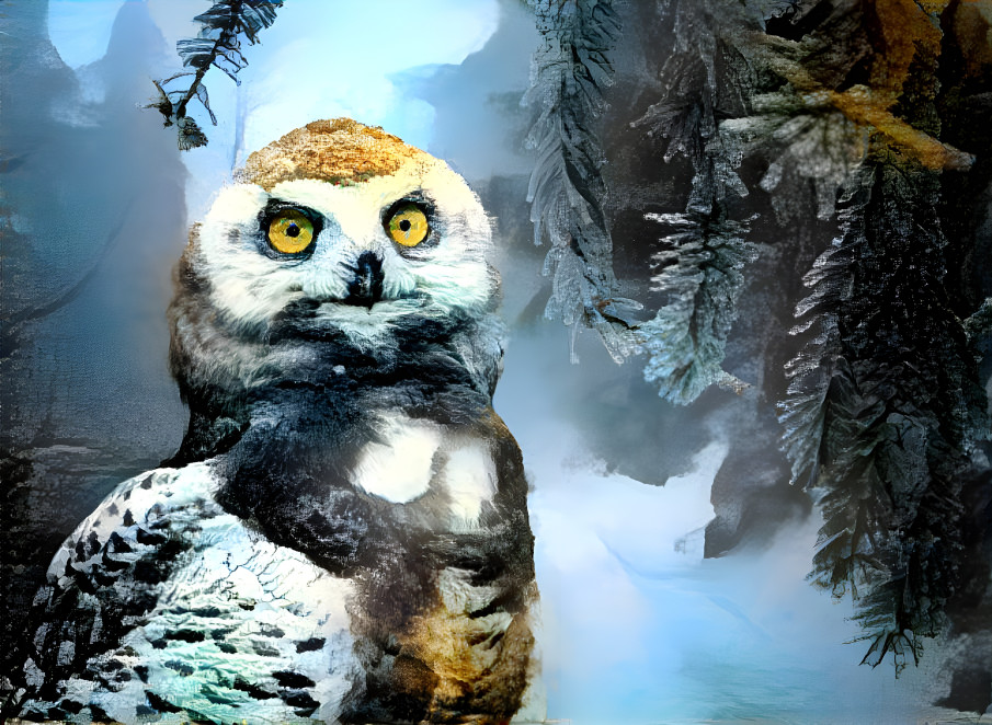 Snow Owl