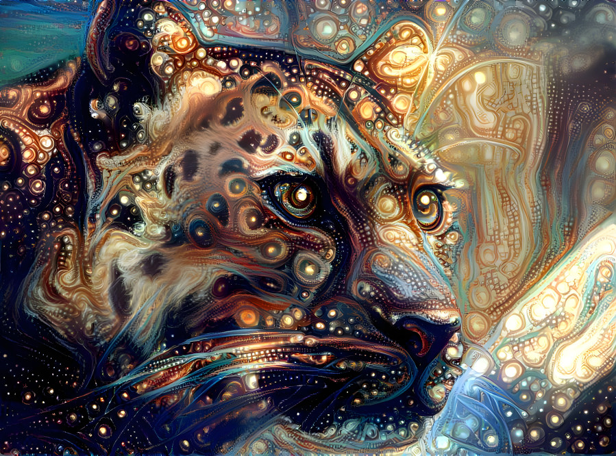 Space Leopard