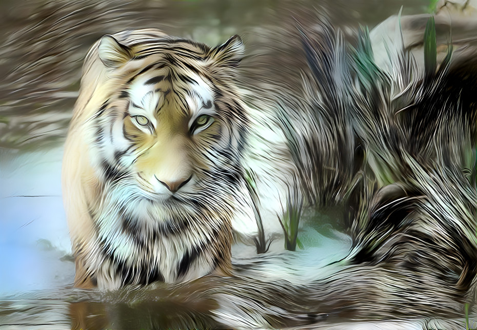 Wispy Tiger