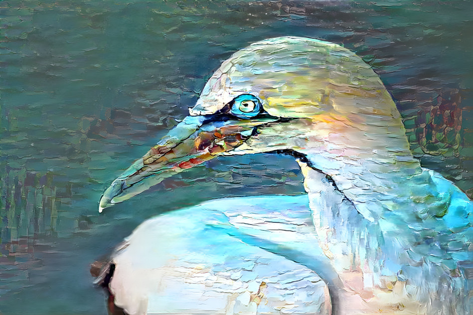 Boat Beak