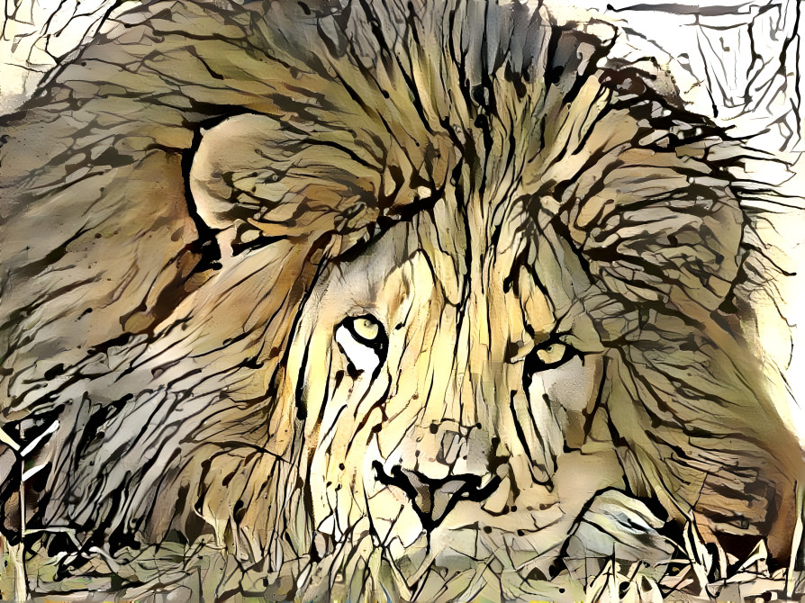 Resting Lion