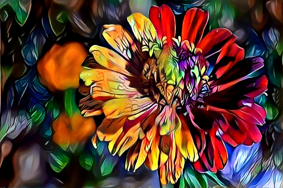 colorful flower